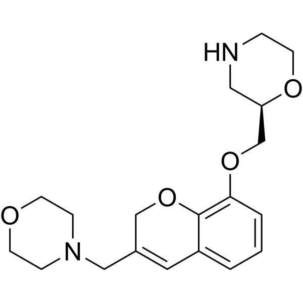 NAS-181 free base 205242-61-1